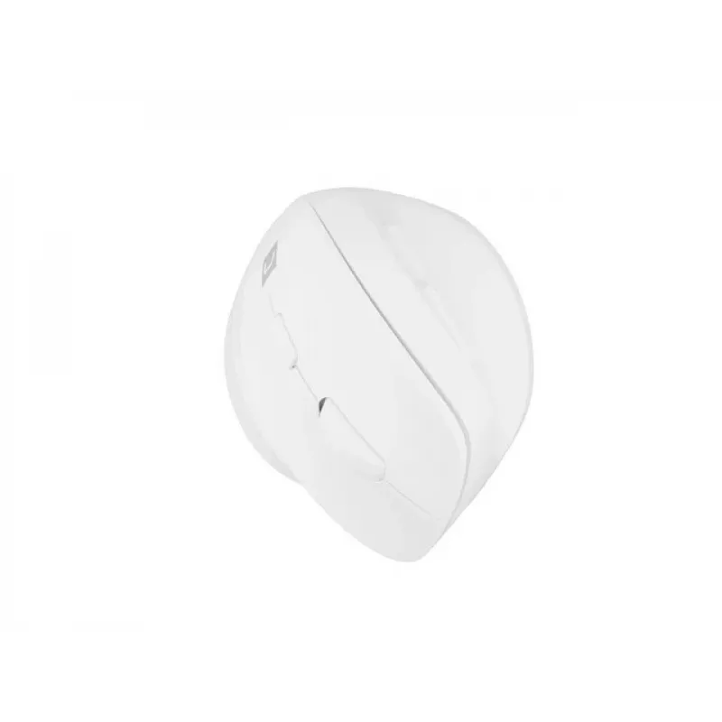 NATEC Crake 2 pelė Universal RF belaidė + Bluetooth optinė 2400 DPI