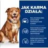 HILL'S Prescription Diet Derm Complete – sausas šunų ėdalas – 1,5 kg