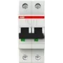 Automatinis jungiklis 6kA 10A C 2p S202-C10 (2CDS252001R0104)