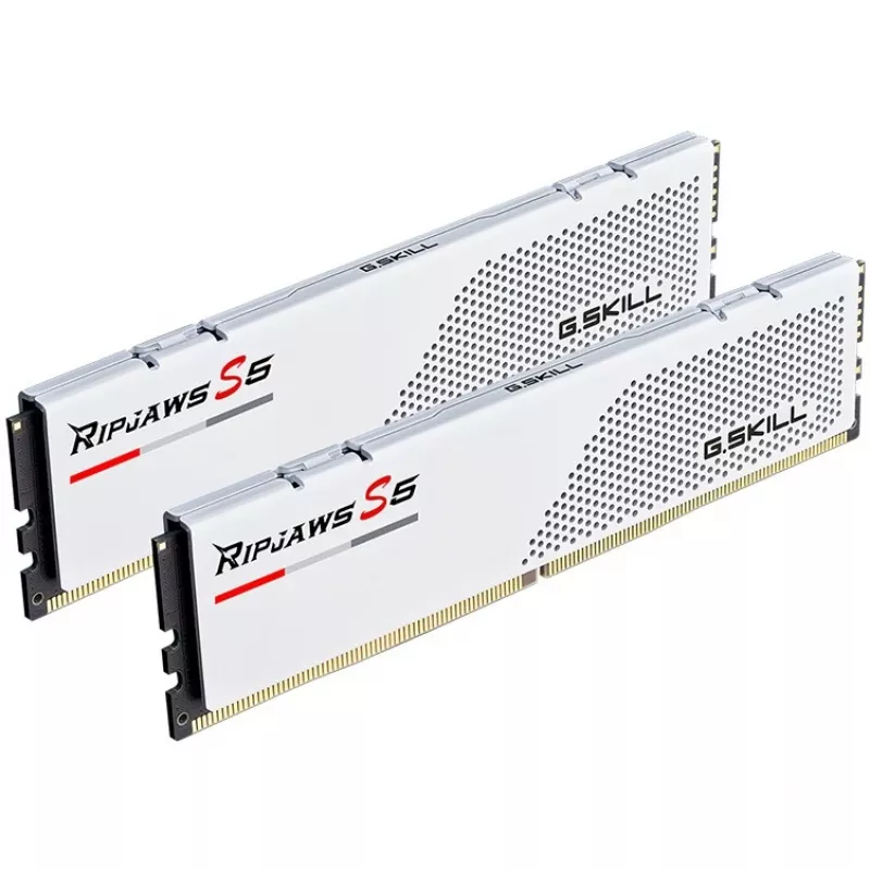 G.Skill F5-6000J3036F24GX2-RS5W atminties modulis 48 GB (2 x 24 GB) DDR5 5600 MT/s