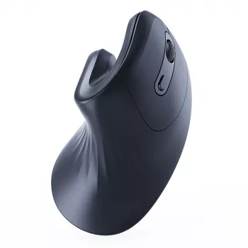 Gembird MUSW-ERGO-03 pelė Home Dešinei rankai RF Belaidė Optinė 1600 DPI