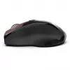 Cian Technology GmbH INCA Mouse IWM-500GLK belaidė lazerinė pelė su Nano-USB imtuvu, 1600 DPI, raudona