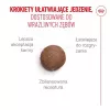 ROYAL CANIN Ageing 15+ - sausas kačių maistas - 4kg