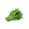 Sėklos ant juostelės – Apte Rukola (Eruca sativa) 6 m auginimui namuose ir sode