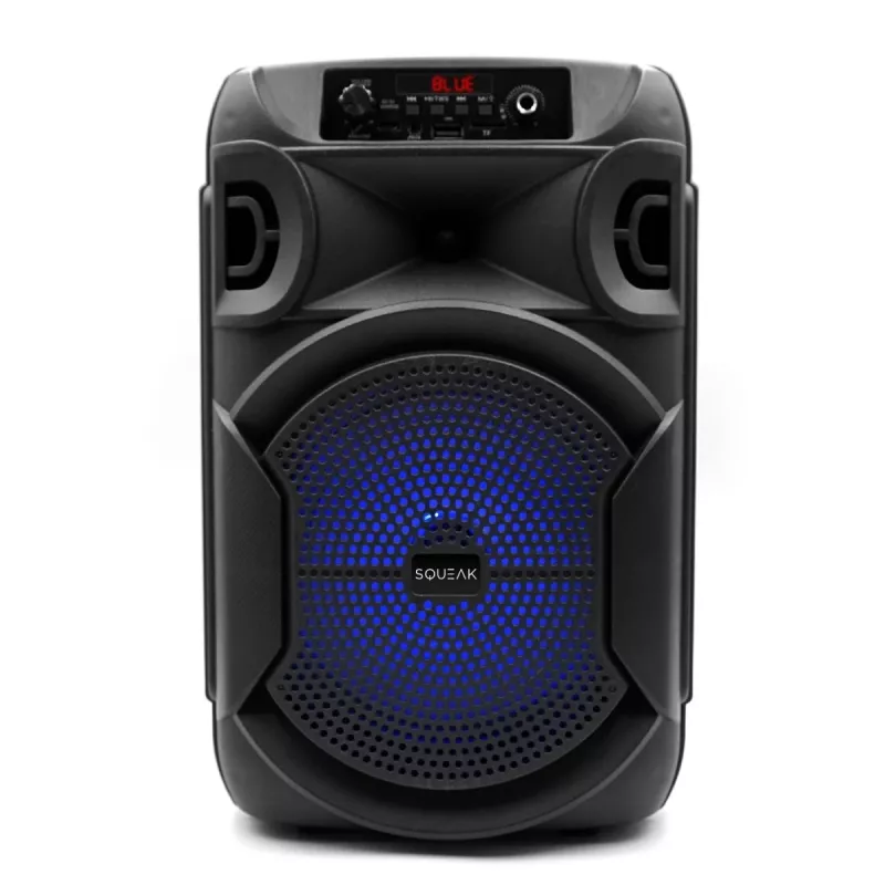 Belaidis garsiakalbis Bluetooth 5.3 SQUEAK PULSETOWER SQ1006