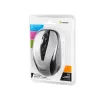 Belaidė pelė Tracer JOY II RF Wireless sidabrinė