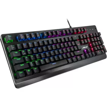 Klaviatūra Inter-Tech NK-2000ME USB QWERTZ Juoda (88884100)