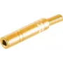 Mono 6,3 mm lizdo jungtis ShiverPeaks 50800-G auksuota