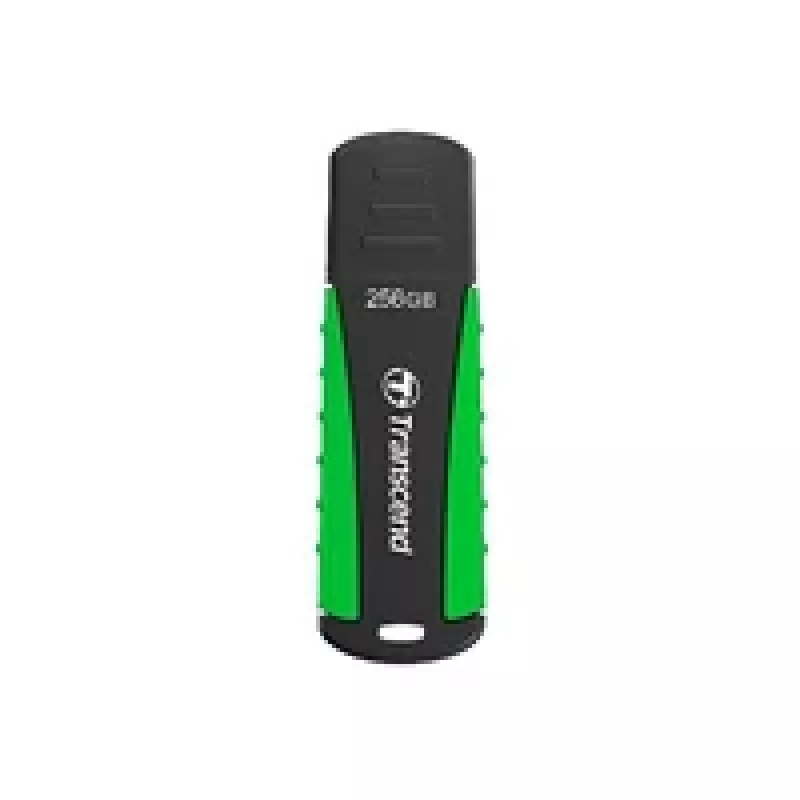 USB atmintukas Transcend 256GB USB Type-A 3.2 Gen 1 JetFlash 810