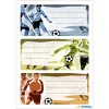 HERMA Football lipnūs lipdukai, stačiakampiai, rašomi, daugiaspalviai, 9 vnt.
