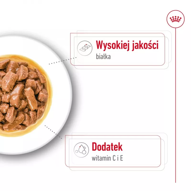 ROYAL CANIN SHN Medium Adult padaže – šlapias ėdalas suaugusiems vidutinių veislių šunims – 10x140g