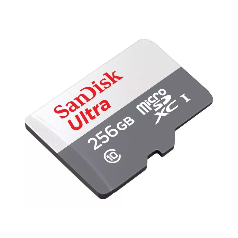 SanDisk 256 GB MicroSDXC UHS-I atminties kortelė SDSQUNR-256G-GN6TA