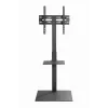 Grindinis TV stovas GEMBIRD TVS-55T-02 32–55 colių televizoriams, plieninis, aukštis 600 mm, VESA 100x100–400x400, maks. apkrova 35 kg