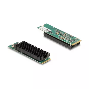 DeLOCK 95274 vidinė tinklo plokštė M.2 PCIe 10 Gbit/s