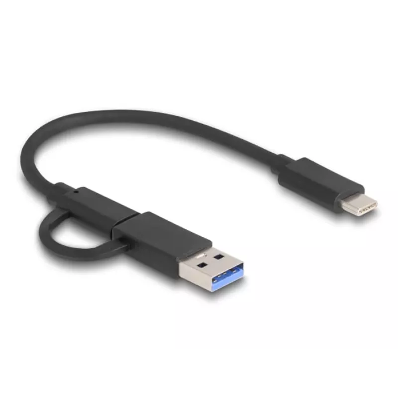 Delock USB Type-C kortelių skaitytuvas 91011