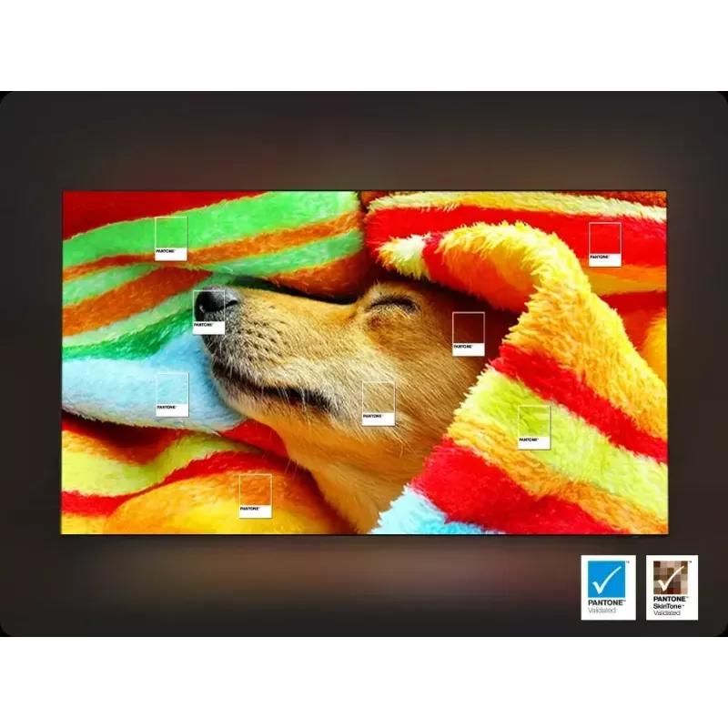 Televizorius Samsung 50 colių QLED Q7F2 4K Ultra HD