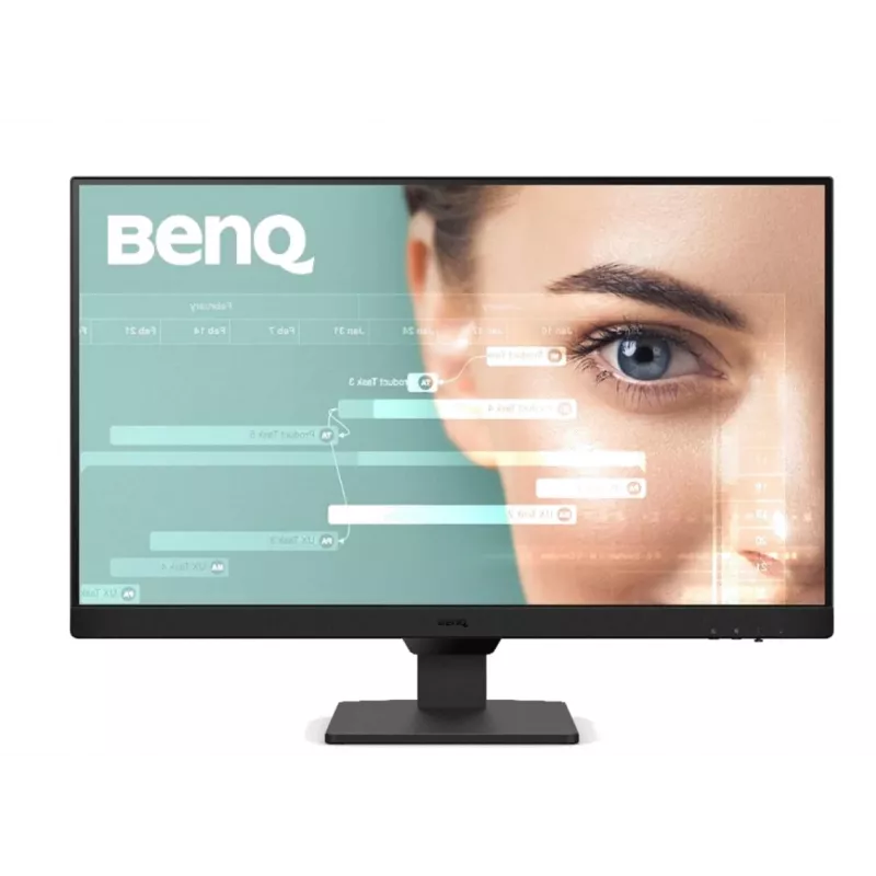 Monitorius BenQ GW2490 60.5 cm (23.8 colio) 1920 x 1080 pikselių Full HD juodas