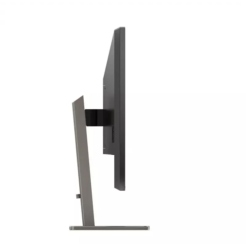 Philips P Line 439P1/00 kompiuterio monitorius 108 cm (42,5 colio) 3840 x 2160 pikselių 4K Ultra HD LCD juodas