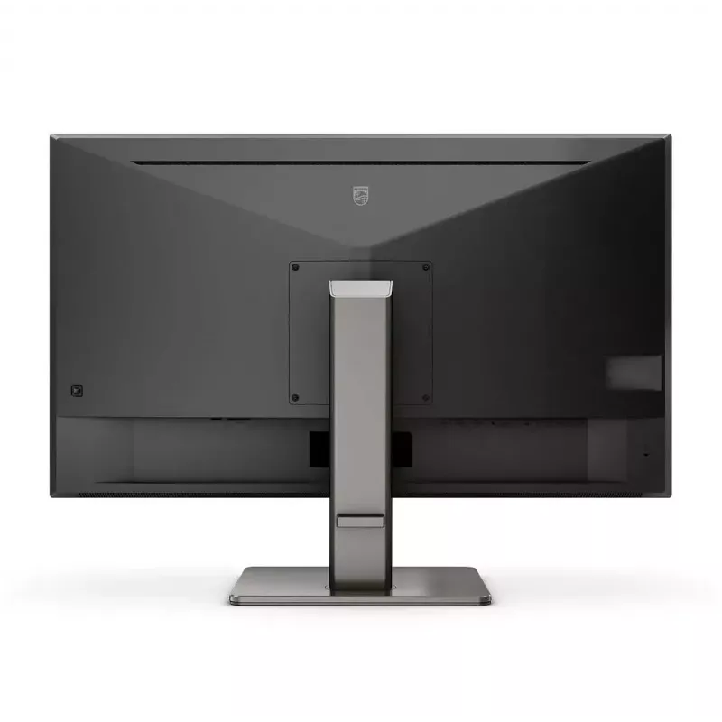 Philips P Line 439P1/00 kompiuterio monitorius 108 cm (42,5 colio) 3840 x 2160 pikselių 4K Ultra HD LCD juodas