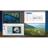 Philips P Line 439P1/00 kompiuterio monitorius 108 cm (42,5 colio) 3840 x 2160 pikselių 4K Ultra HD LCD juodas