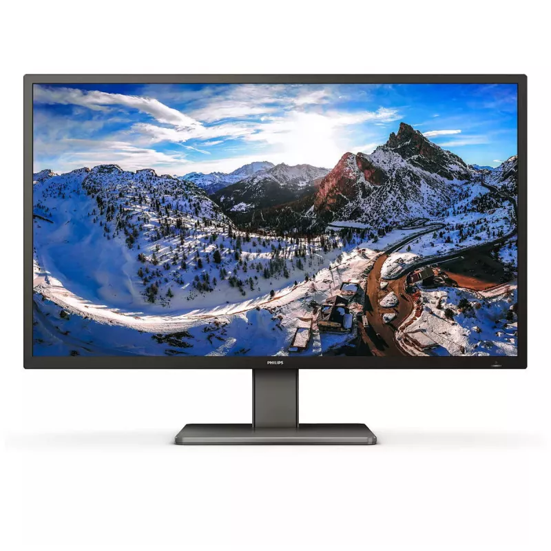 Philips P Line 439P1/00 kompiuterio monitorius 108 cm (42,5 colio) 3840 x 2160 pikselių 4K Ultra HD LCD juodas