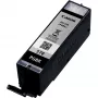 Canon PGI-570PGBK Pigmentinė juoda rašalo kasetė