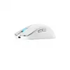 ASUS ROG Harpe Ace Mini pelė žaidimams Ambidextrinė RF belaidė + Bluetooth + USB Type-C Optinė 42000 DPI