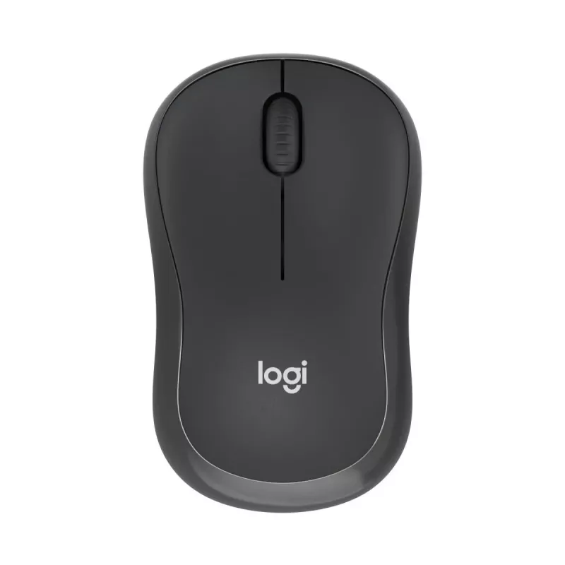 LOGITECH M240 Tylus Bluetooth Pelė - Grafitas