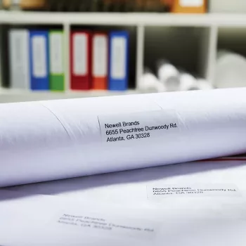 DYMO Authentic LabelWriter dideli adresų etikečių ritiniai | 36 mm x 89 mm | lipnios | 2 ritiniai po 260 (520 lengvai atplėšiamų etikečių) | LabelWriter etikečių spausdintuvams | pagaminta Europoje