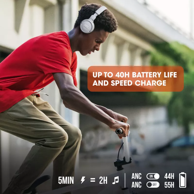 Ausinės JBL Tune 510 juodos