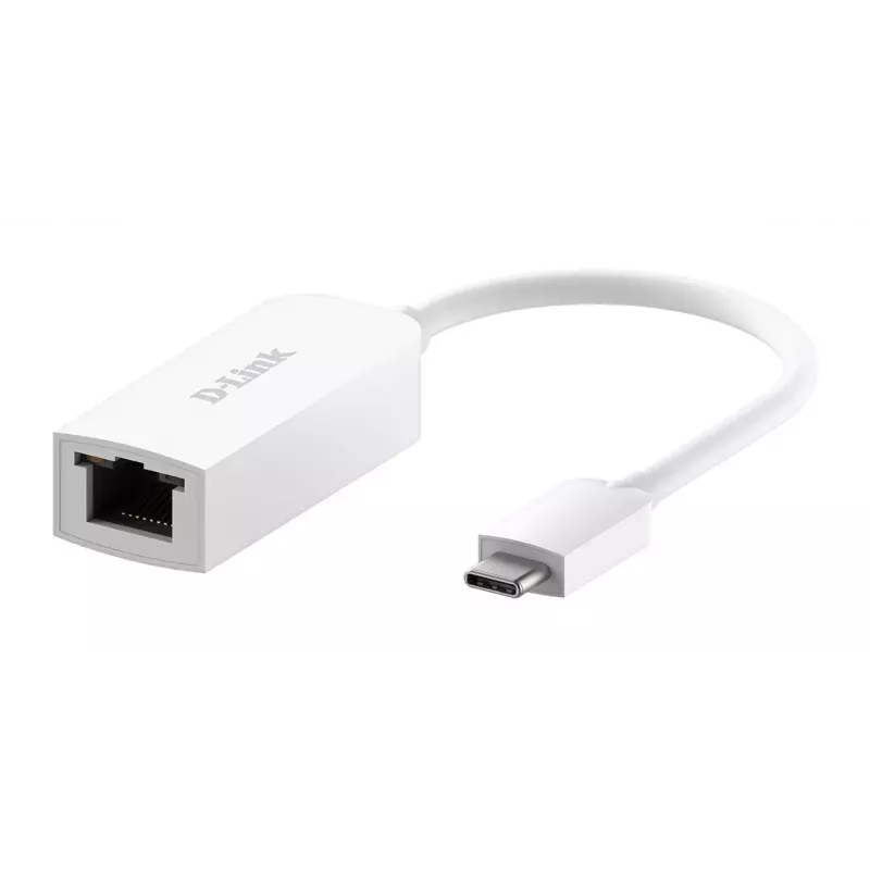 Eterneto adapteris D-Link DUB-E250 USB-C į 2.5G