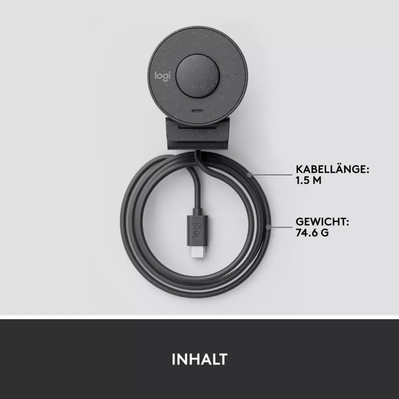 LOGITECH Brio 300 Full HD internetinė kamera - Graphite