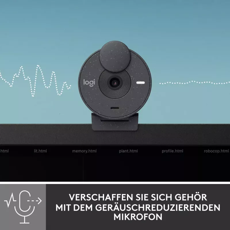 LOGITECH Brio 300 Full HD internetinė kamera - Graphite