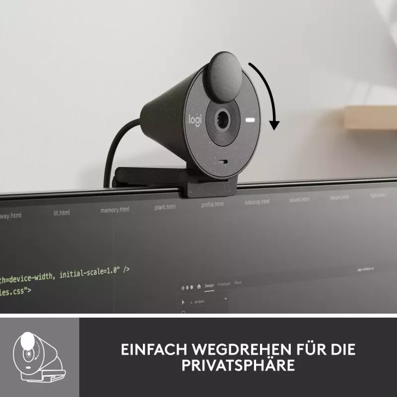 LOGITECH Brio 300 Full HD internetinė kamera - Graphite