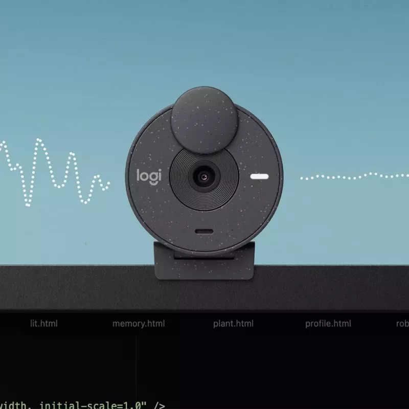 LOGITECH Brio 300 Full HD internetinė kamera - Graphite
