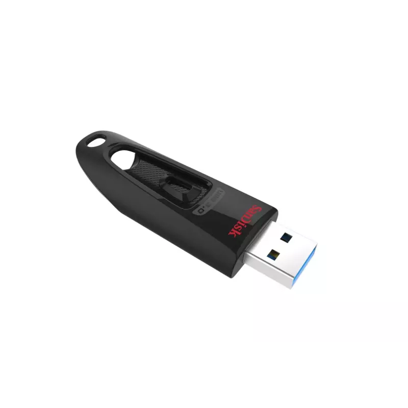 USB atmintukas SanDisk 128 GB USB-A 3.2 Gen 1 juodas