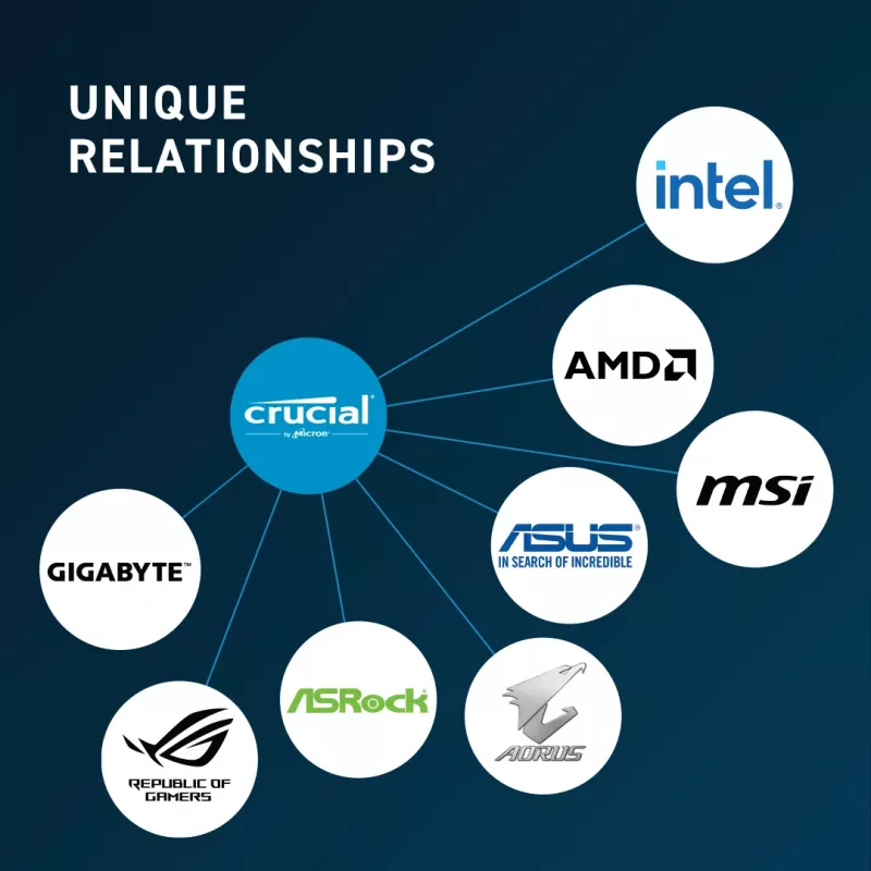 Crucial 32GB DDR5-5600 UDIMM