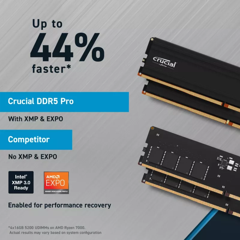 Crucial Pro - DDR5 - Modul - 48 GB - DIMM 288-PIN Low Profile