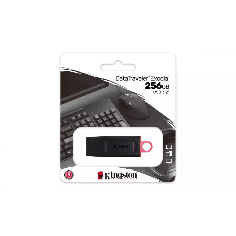 Kingston DataTraveler Exodia 256 GB USB 3.2 atmintukas
