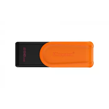 Kingston DataTraveler Exodia S 256GB USB 3.2 Gen 1 atmintukas (juoda/oranžinė)
