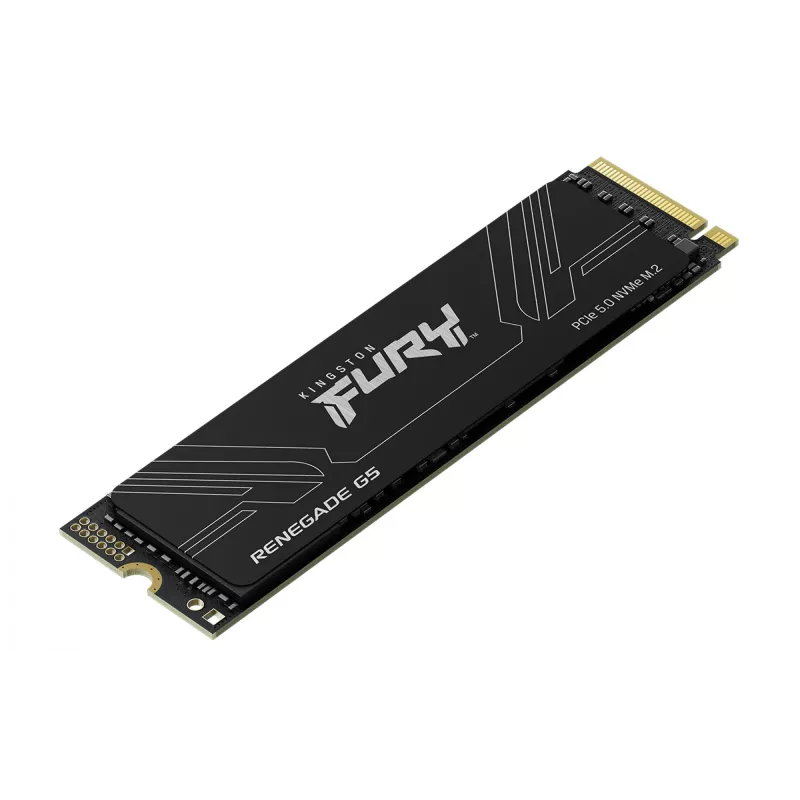 SSD diskas Kingston 1TB M.2 NVMe FURY RENEGADE G5
