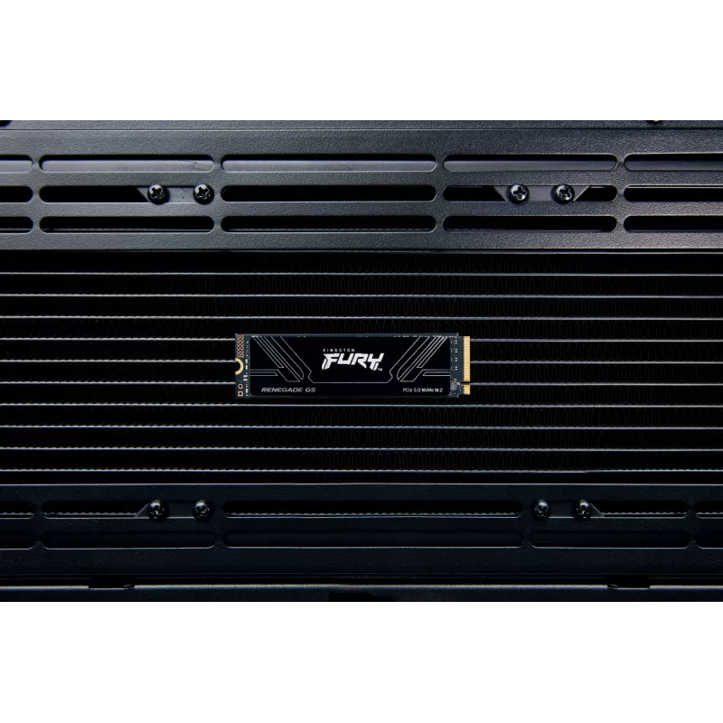 SSD diskas Kingston 1TB M.2 NVMe FURY RENEGADE G5