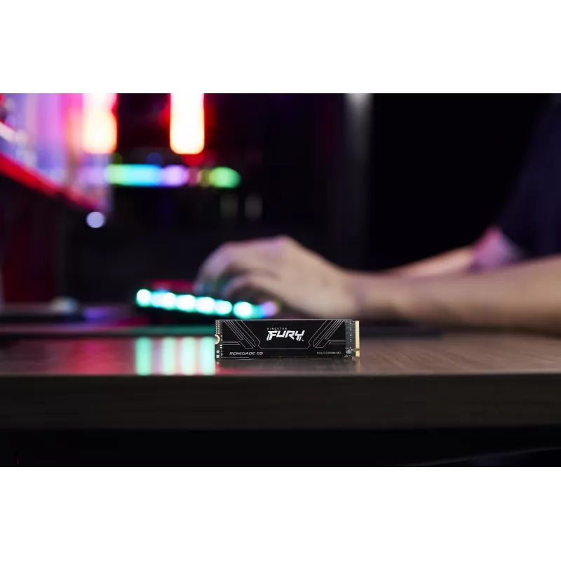 SSD diskas Kingston 1TB M.2 NVMe FURY RENEGADE G5
