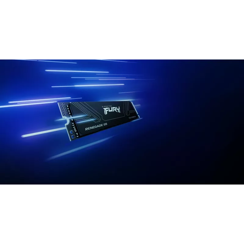 SSD diskas Kingston 1TB M.2 NVMe FURY RENEGADE G5