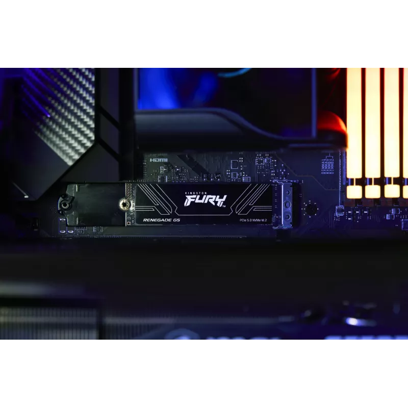 SSD diskas Kingston 1TB M.2 NVMe FURY RENEGADE G5