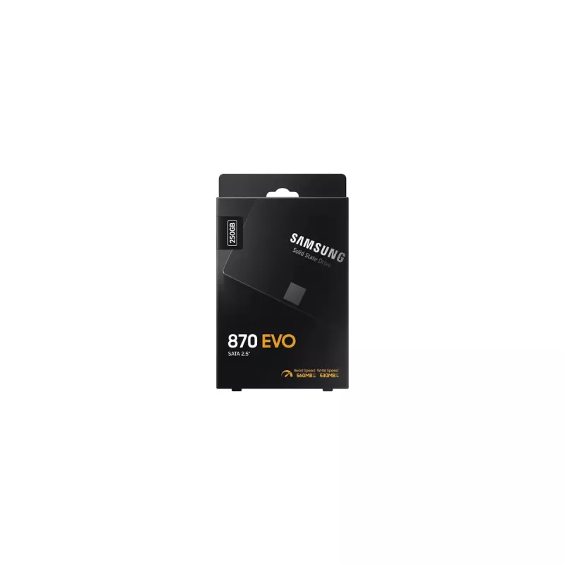 SSD diskas Samsung 870 EVO 250 GB 2,5 colio Serial ATA III V-NAND