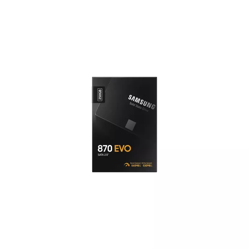SSD diskas Samsung 870 EVO 250 GB 2,5 colio Serial ATA III V-NAND