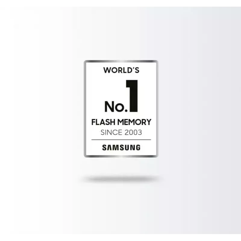 SSD diskas Samsung 870 EVO 250 GB 2,5 colio Serial ATA III V-NAND