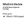 HP 304XL Original juoda kasetė, juoda, 1 vnt., 300 puslapių