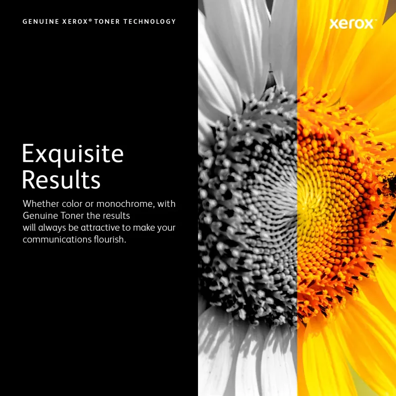 Xerox originalus Phaser® 6020/6022, WorkCentre® 6025/6027 purpurinis standartinės talpos tonerio kasetė (1000 puslapių) - 106R02757